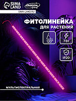 Освещение растений