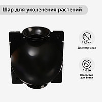 Шары для укоренения