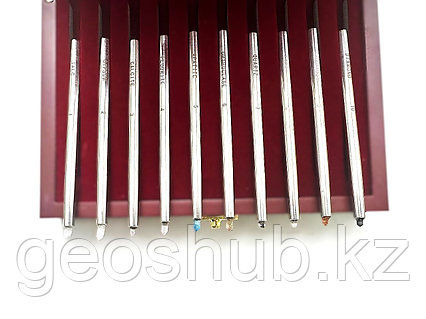 Дикті алғаш рет аузыңызға қалай алуға болады