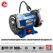 ЗУБР d 150, 300 Вт, заточной станок, Профессионал (ПСТ-150), фото 3