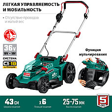ЗУБР С1-18, 36 В, 43 см, без АКБ, бесщеточная газонокосилка (ГКЛ-4336), фото 4