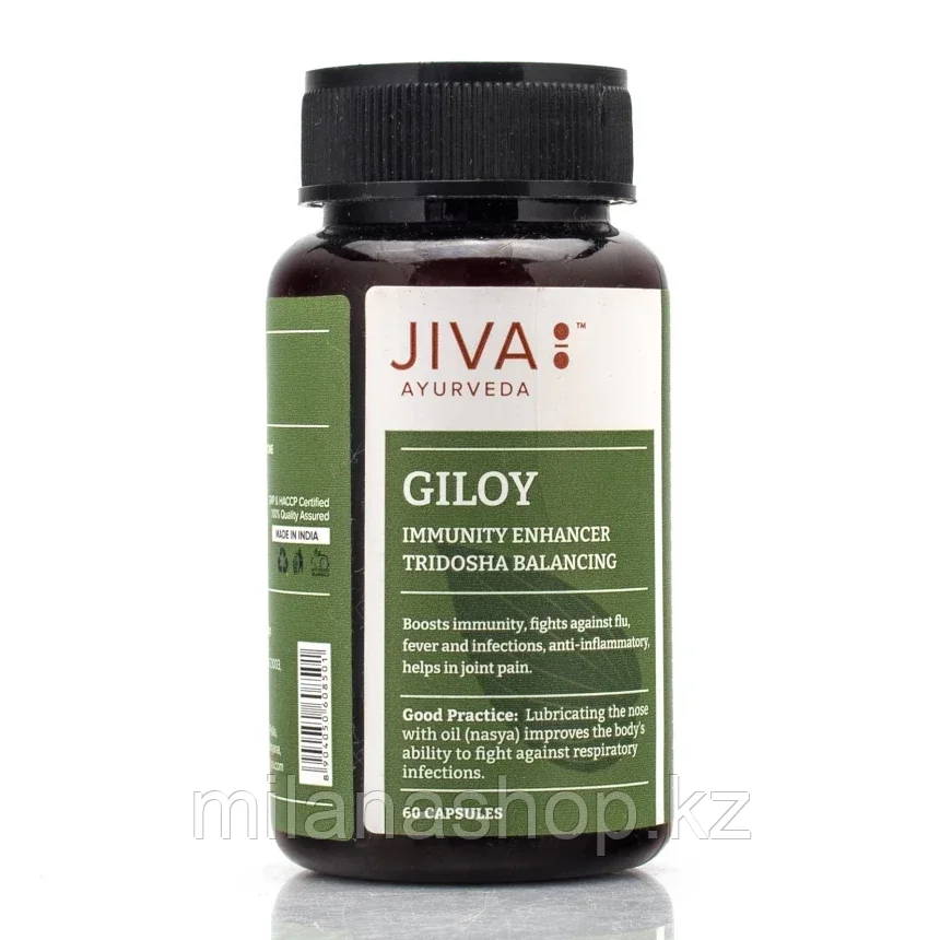 Гилой ( Giloy Jiva ) для укрепления организма 120 таб