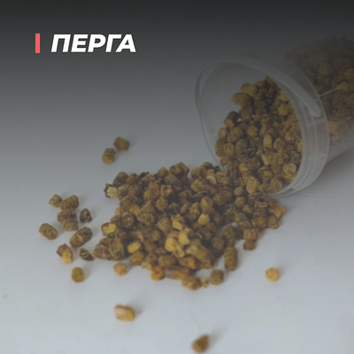 Перга пчелиная