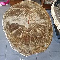 Срезы натуральной древесины для декора и столов: уникальность, стиль и природная красота в интерьере