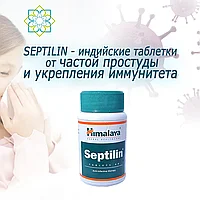 Septilin himalaya от частой простуды и укрепления иммунитета, 60 таблеток