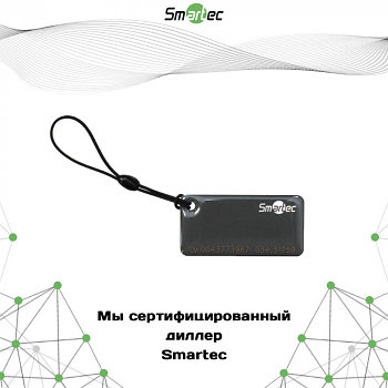 Брелок Smartec ST-PT015EM-GR, EM, серый