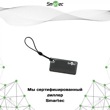 Брелок Smartec ST-PT015MF-GR, Mifare 1K, серый