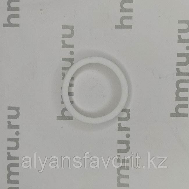 Уплотнительное кольцо PTFE на дозирующий поршень для LPF/PPF-1000