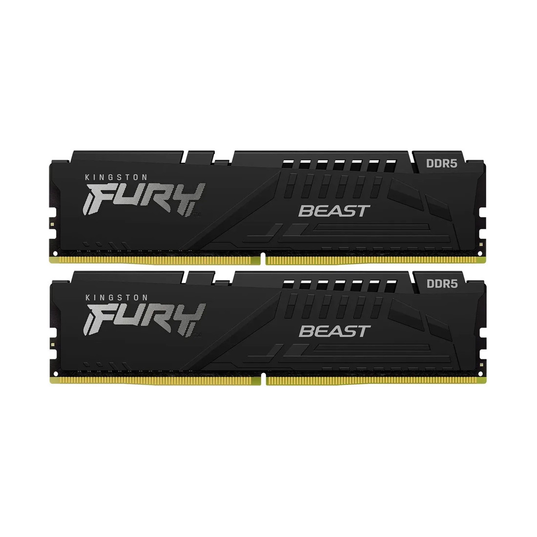 Комплект модулей памяти Kingston FURY Beast KF556C36BBEK2-32 DDR5 32GB, фото 1