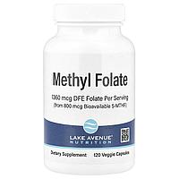 LAN, Метилфолат, 800 мкг, 120 капсул