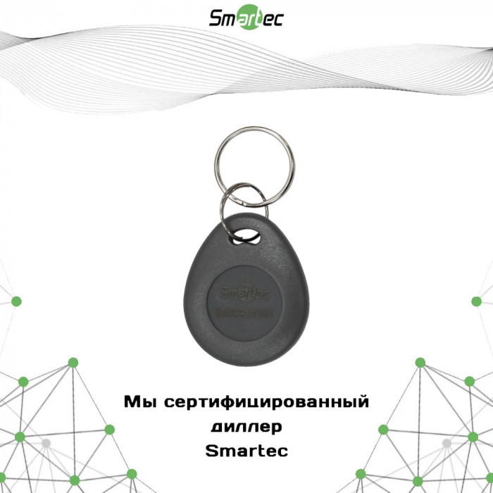 Брелок EM-Marine Smartec ST-PT012EM-GR, серый