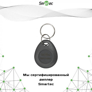 Брелок EM-Marine Smartec ST-PT012EM-GR, серый