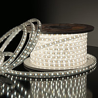 Светодиодная лента 110SMD 6500K PROSVET (бух/100м)