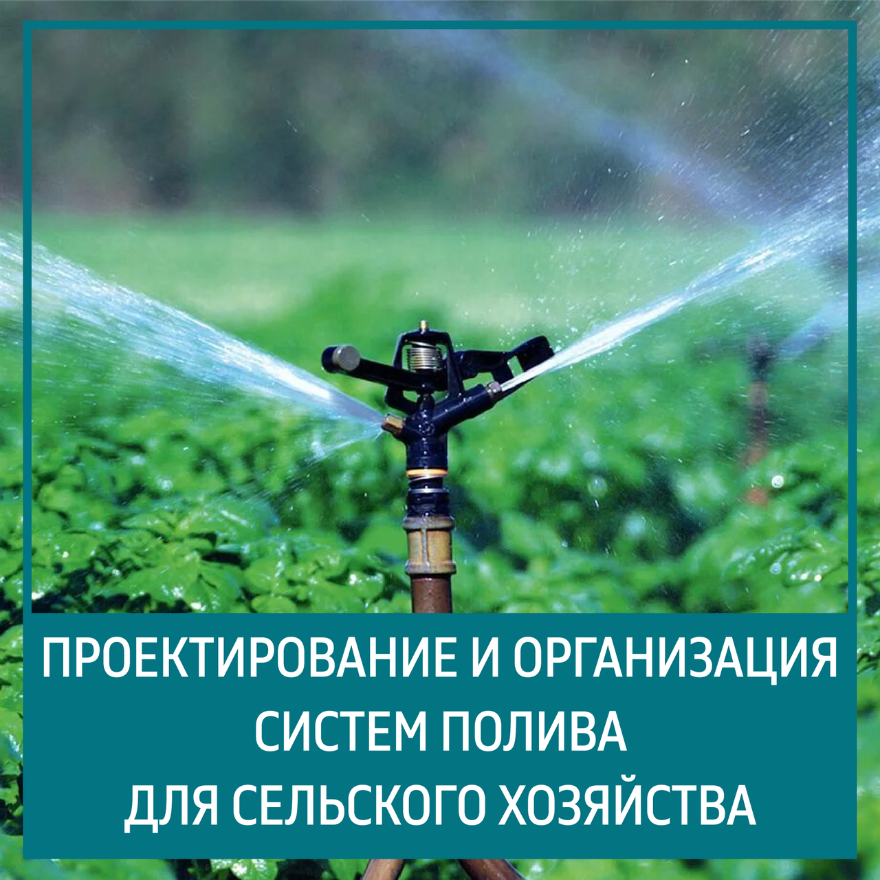 Проектирование и монтаж систем полива для сельского хозяйства