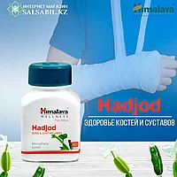 Индийские таблетки для укрепления костей Hadjod Himalaya, 60 таблеток