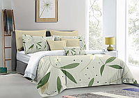 Постельное белье Aivengo, 2х спалка, светлый с принтом