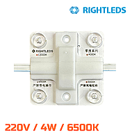 RIGHTLEDS Модуль 220 вольт / 6500К