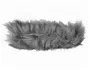 Sennheiser MZH 60-1 ветрозащита