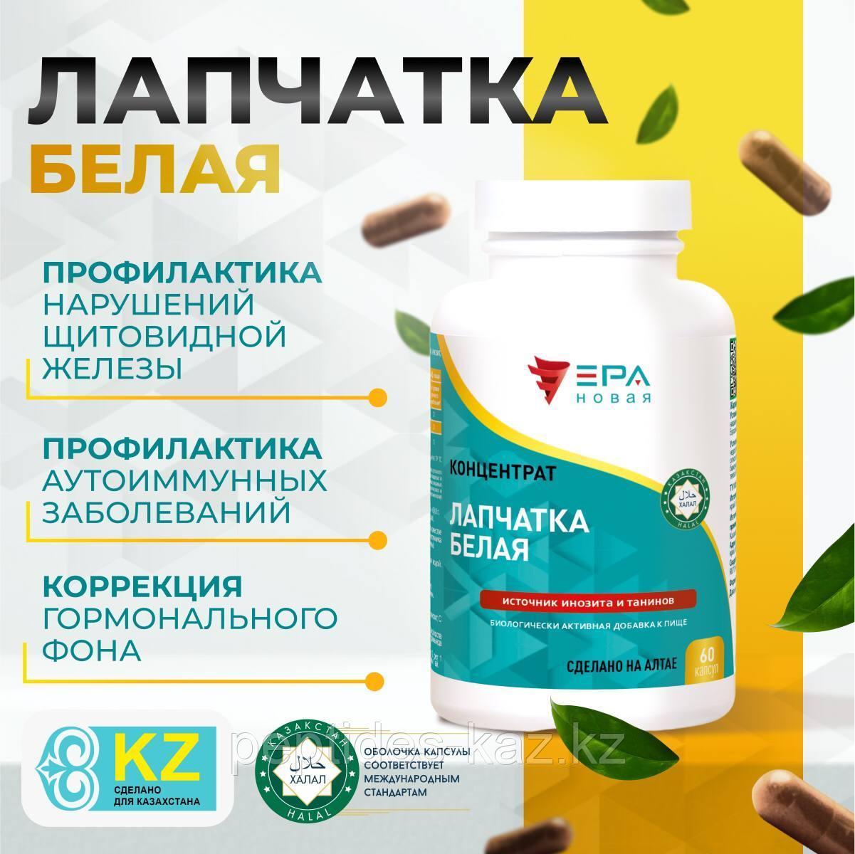 NEW ERA, ЛАПЧАТКА БЕЛАЯ Концентрат с инозитом для щитовидной железы №60