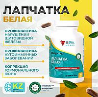 NEW ERA, ЛАПЧАТКА БЕЛАЯ Концентрат с инозитом для щитовидной железы №60