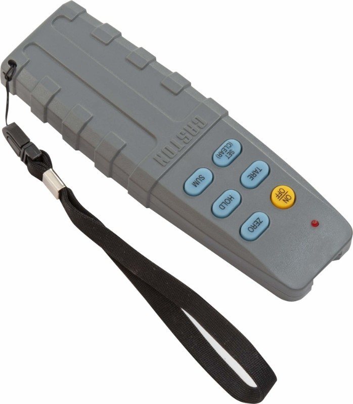 Весы крановые CAS 10 THD с проушиной