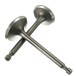 Впускной клапан Liebherr 10120987