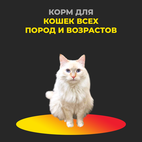 Сухой кошачий корм