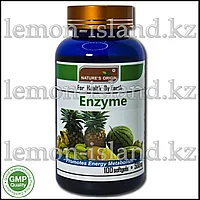 Комплекс Растительные пищеварительные ферменты + пробиотические дрожжи от Nature's Origin