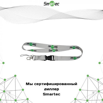 Ремешок Smartec ST-AC203LY-GR