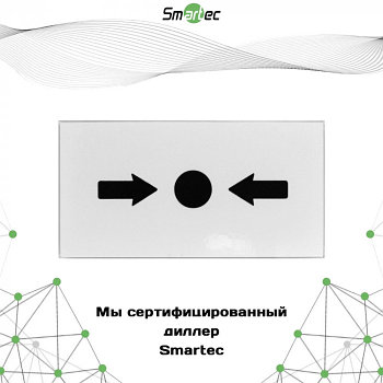 Стеклянная вставка Smartec ST-ER114G для ST-ER114