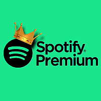 Spotify Premium Подписка на 12 месяцев.