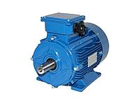 Электродвигатель АИР 63В2 0,55кВт*3000об/мин 2081 комб