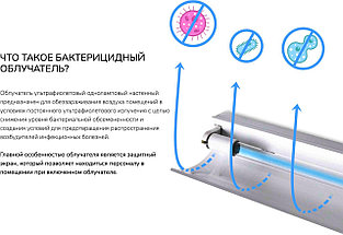Бактерицидный экранированный облучатель с лампой (рециркулятор), фото 5