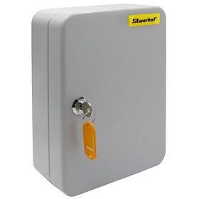 Шкафчик Silwerhof на 60 ключей, 250x180x80 мм, серебристый