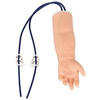 Муляж анатомический модель руки для внутривенных инъекций