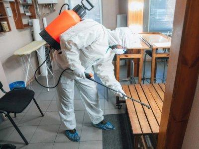 дезинсекция