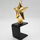 Награда за успех и лидерство, фото 2