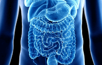 Руководство по средствам для лечения желудка и средствам, способствующим пищеварению