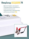 Инкубатор Несушка на 36 яиц 220/12В (артикул 74), фото 6