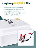 Инкубатор Несушка на 63 яйца куриных автоматический 220/12В цифровой терморегулятор, арт. 46В, фото 4