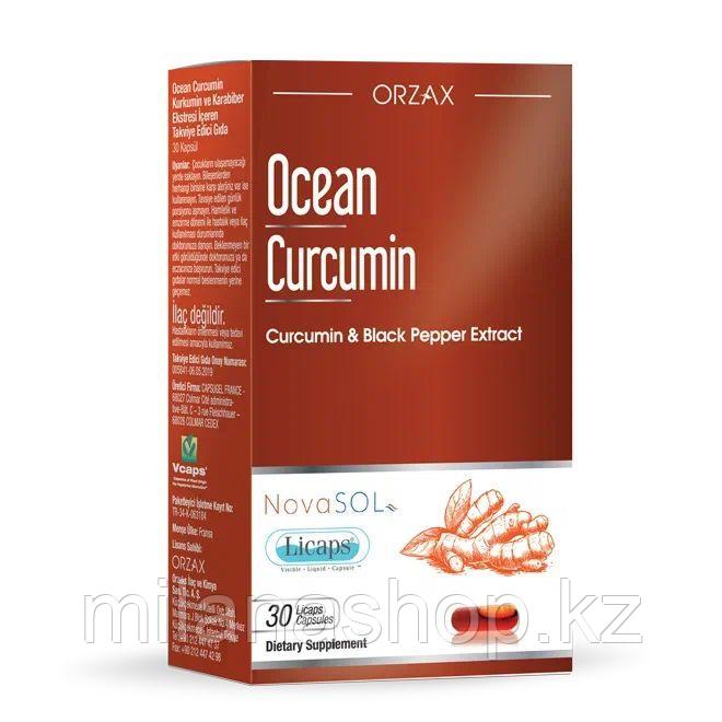 ORZAX Ocean Curcumin - Куркумин 30 табл, фото 1