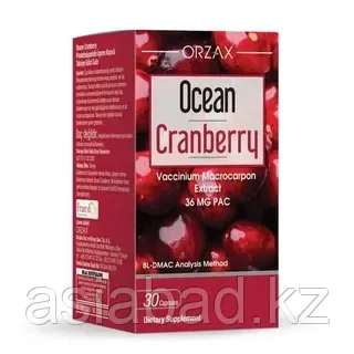 ORZAX Ocean Cranberry - экстракт клюквы 30 капсул, фото 1