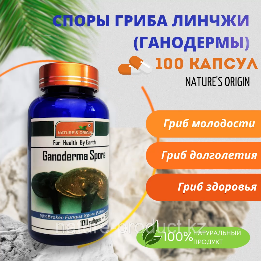 Ганодерма Линчжи Ganoderma Spore 100 капсул 500 мг. Natures Origin
