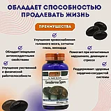 Ганодерма Линджи Ganoderma Spore 100 капсула 500 мг. Natures Origin, фото 3