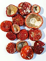 Нераскрытые (закрытые) шляпки красного мухомора (Amanita Muscaria), 50гр