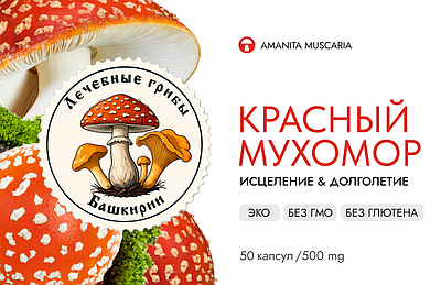 Эротика онлайн сериясы «Латын ғашықтары» Ирина Биликтің қатысуымен порно көру