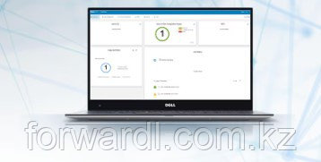 Программное обеспечение Dell/AppSync Bsc for Unity 300F/350F/380F=IC/Infrastructure Deployment