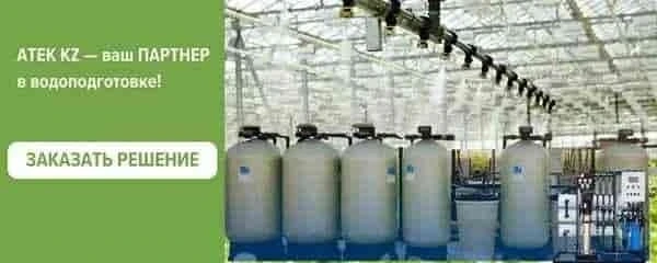 Сперматозоидтарға толы ауыздағы кончалар Сперматозоидтарға толы ауыздағы кончалар