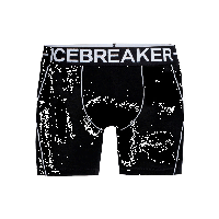 Купить Трусы Icebreaker Anatomica
