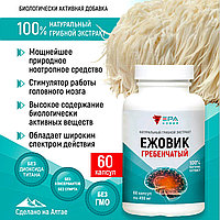 NEW ERA, ЕЖОВИК ГРЕБЕНЧАТЫЙ экстракт натуральный грибной концентрат №60